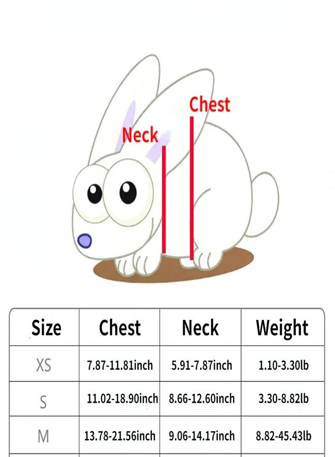 Barn Eleven Rabbit Harness and Leash for Walking Escape Proof - Cute Mesh Breathable Bunny Vest Harness Outdoor Camping Hiking Training - Also Suit for Ferret Kittn Puppy Small Animals (X-Small) - Image 2